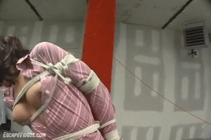 xsiteability.com - Nastasia Exposed Gagged Tied thumbnail